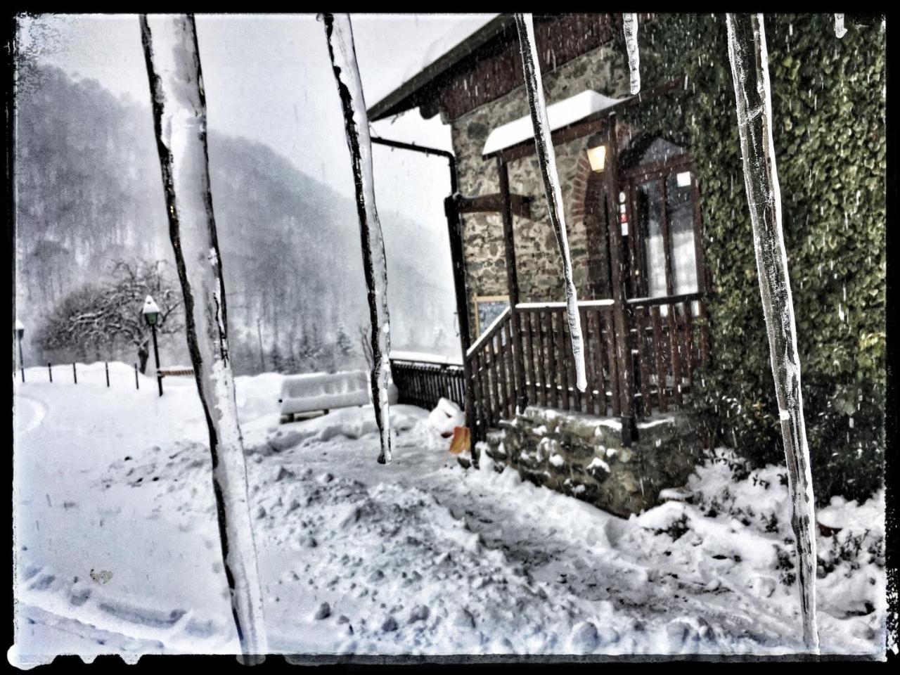 B&B Vinicola23 Лимоне Пиемонте Екстериор снимка